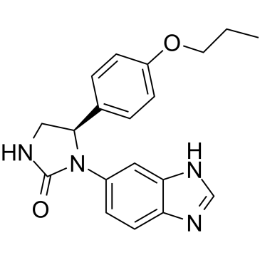 CS-0096743