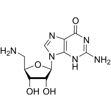 5'-Amino-5'-deoxyguanosine|CS-0097024