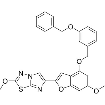 CS-0099038