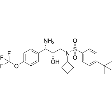 CS-0099069
