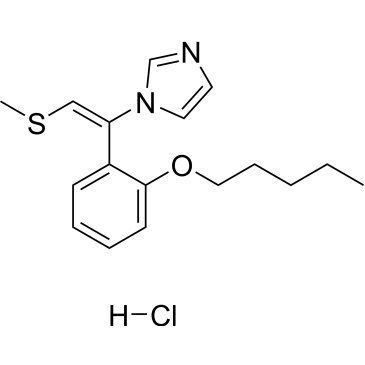 CS-0099200
