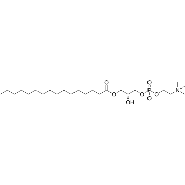 1-Palmitoyl-sn-glycero-3-phosphocholine|CS-0099321