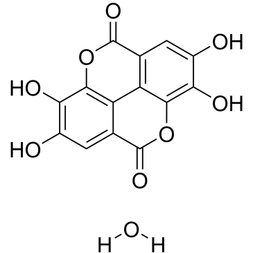 CS-0099542
