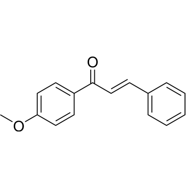 CS-0099579