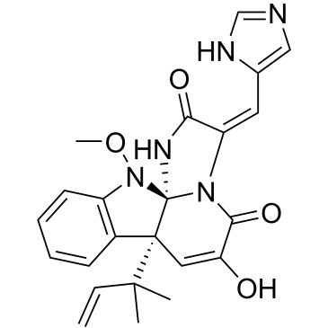CS-0100053
