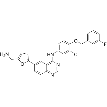 6-(5-(Aminomethyl)furan-2-yl)-N-(3-chloro-4-((3-fluorobenzyl)oxy)phenyl)quinazolin-4-amine|CS-0100416
