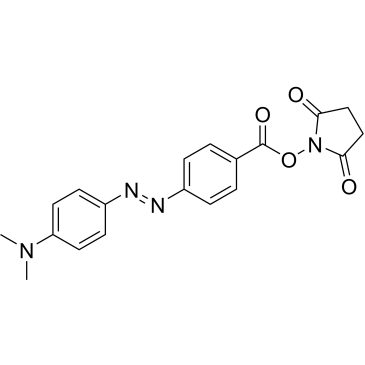 CS-0100488