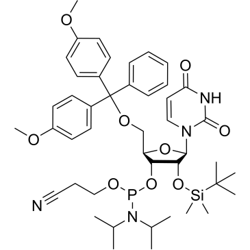 rU Phosphoramidite|CS-0100730