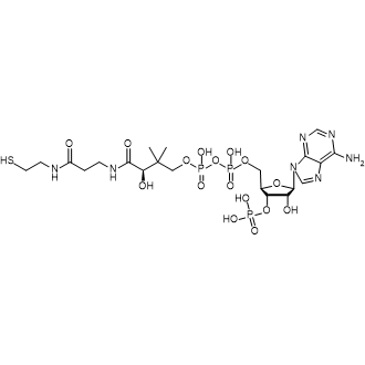 Coenzyme A|CS-0100923