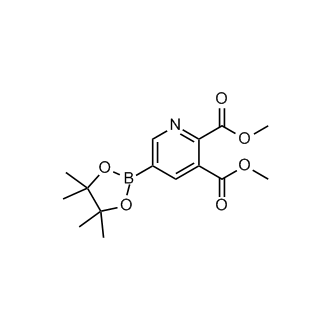 Dimethyl 5-(4,4,5,5-tetramethyl-1,3,2-dioxaborolan-2-yl)pyridine-2,3-dicarboxylate|CS-0101132