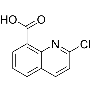 2-Chloroquinoline-8-carboxylic acid|CS-0102213