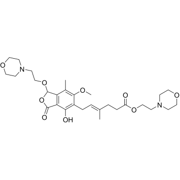 Mycophenolate Impurity B|CS-0103086