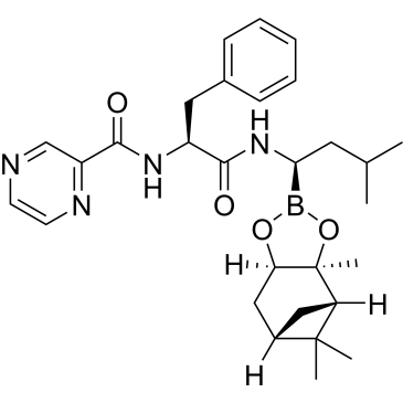 Bortezomib-pinanediol|CS-0103201