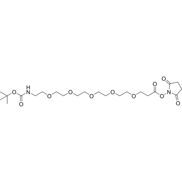 Boc-N-PEG5-C2-NHS ester|CS-0103221