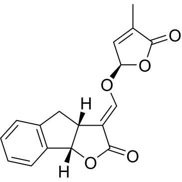 GR24|CS-0103265