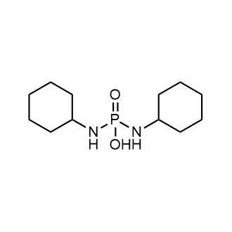 N,N'-Dicyclohexyl-phosphorodiamidic acid|CS-0103288