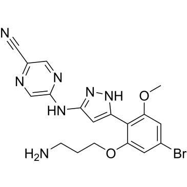 CS-0103962