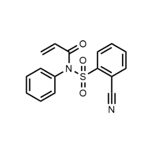 N-((2-Cyanophenyl)sulfonyl)-N-phenylacrylamide|CS-0104649