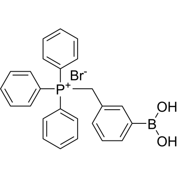 MitoB bromide|CS-0104761