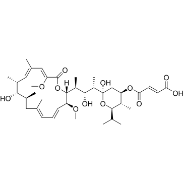 CS-0105395
