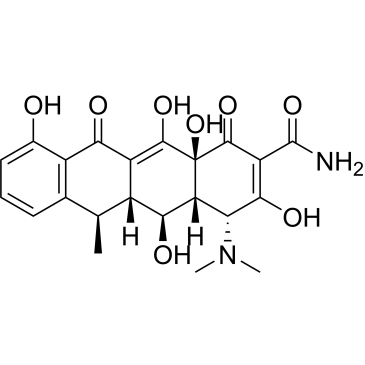 4-Epidoxycycline|CS-0107792