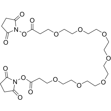 Bis-PEG7-NHS ester|CS-0107996