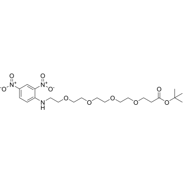 DNP-NH-PEG4-C2-Boc|CS-0108292