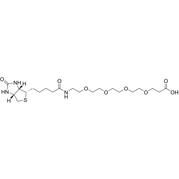 Biotin-PEG4-acid|CS-0108924