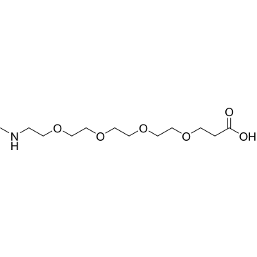 Methylamino-PEG4-acid|CS-0109642