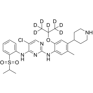 CS-0111346