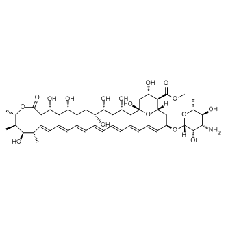 Amphotericin B methyl ester|CS-0111429