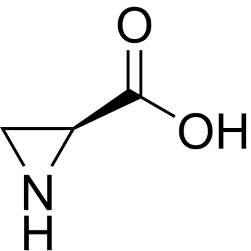 (S)-Aziridine-2-carboxylic acid|CS-0111707