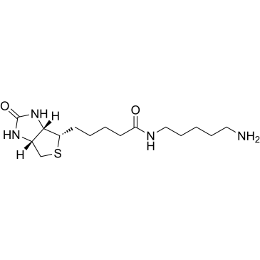 5-(Biotinamido)pentylamine|CS-0112430
