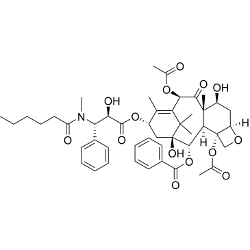 N-Methyltaxol C|CS-0113596