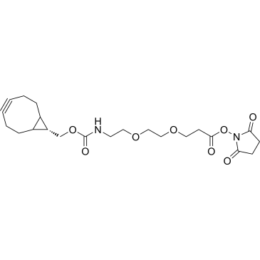 endo-BCN-PEG2-C2-NHS ester|CS-0114297