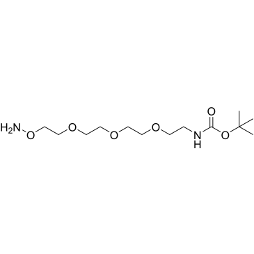 Aminooxy-PEG3-C2-NH-Boc|CS-0114353