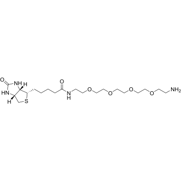 Biotin-PEG4-amine|CS-0114355