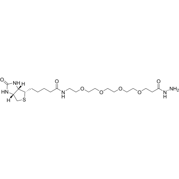 Biotin-PEG4-hydrazide|CS-0114565