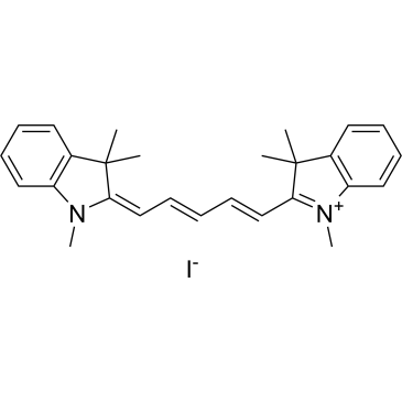 1,1',3,3,3',3'-Hexamethylindodicarbocyanine iodide|CS-0114604