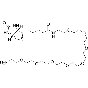 Biotin-PEG8-amine|CS-0114609