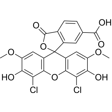 ​JOE|CS-0114654