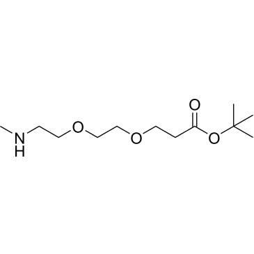 Methylamino-PEG2-Boc|CS-0114697