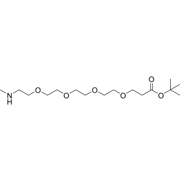 Methylamino-PEG4-Boc|CS-0114698