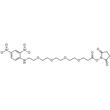 DNP-PEG4-NHS ester|CS-0114703