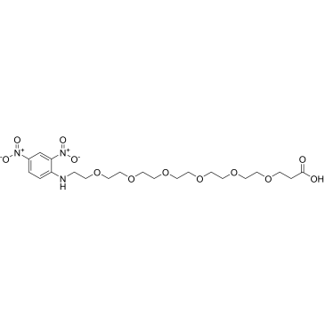 DNP-PEG6-acid|CS-0114706