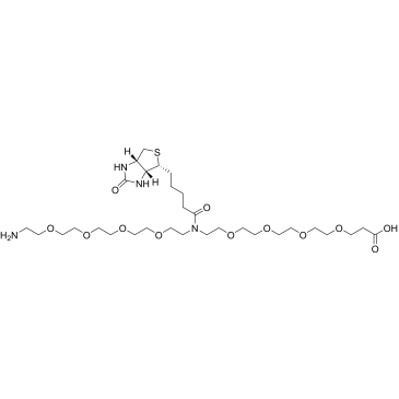 N-(Amino-PEG4)-N-Biotin-PEG4-acid|CS-0114727
