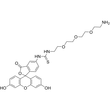 Fluorescein-PEG3-amine|CS-0114801