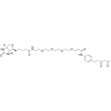 Diketone-PEG4-Biotin|CS-0114860