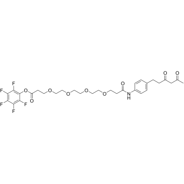 Diketone-PEG4-PFP ester|CS-0115077