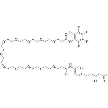 Diketone-PEG11-PFP ester|CS-0115413